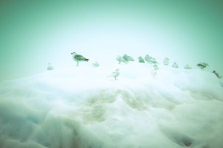 Iceberg lagoon jokulsarlon on the south of Iceland. Toned.の写真素材