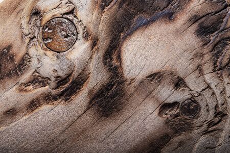 Surface of old textured wooden board for background.