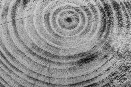 Surface of old textured wooden board for background. Toned.の写真素材
