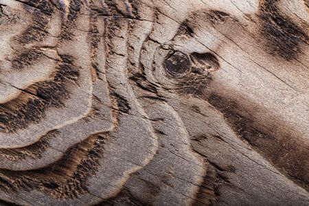 Surface of old textured wooden board for background.の写真素材