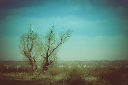 Autumn rural landscape of the Russian outback. Toned.