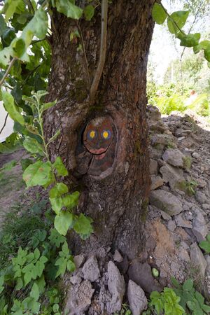 The smiley face on a big tree.の写真素材