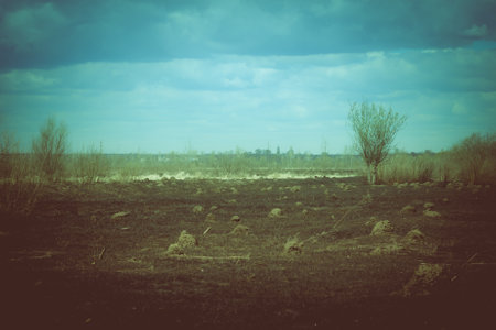 Autumn rural landscape of the Russian outback. Toned.