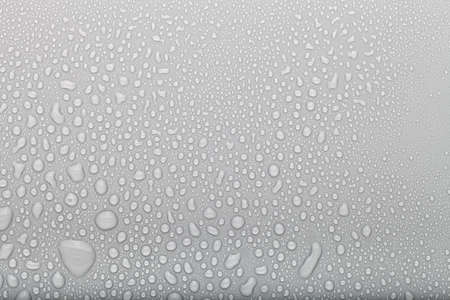Drops of water on a color background. Selective focus. Gray.の写真素材