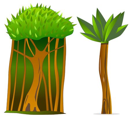 Rainforest treesのイラスト素材