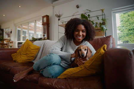 Portrait of black woman playing with pet dachshund dog at home sitting on couchの写真素材
