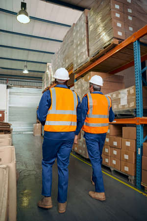 Rear view of industrial workers in white hardhat and protective vest inspecting the goods in the...