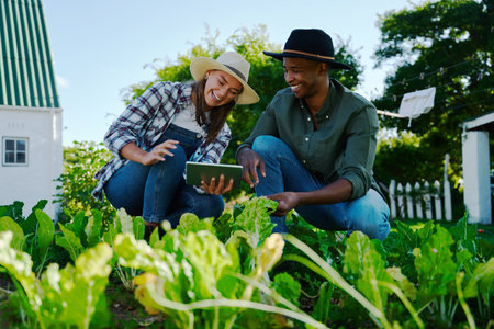 Mixed race male and female farmers working in vegetable patch researching on digital tablet. High quality photoの写真素材