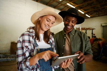 Mixed race male and female farmers working in shed researching on digital tablet wearing cowboy hats. High quality photoの写真素材