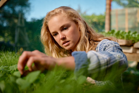 Young caucasian woman in checked shirt looking down while examining plants in plant nurseryの写真素材