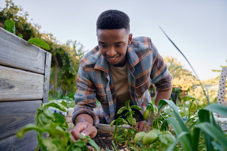 Happy young black man in checked shirt smiling while looking down and examining plants in plant nurseryの写真素材
