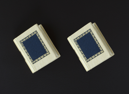 Two mini books on dark brown notepadの写真素材