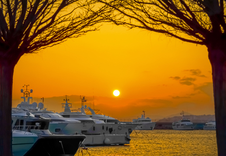 Sunset over luxury yachts in a frame of trees. Marina flisvou. Piraeus city. Greece.の写真素材