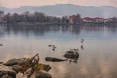 Ioannina city in Greece. View to the lake Pamvotisの写真素材