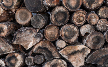 Outdoor stack of wood. Firewood Storage Shedの写真素材