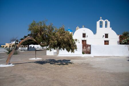 White church and olive tree, Oia, Santorini, Greeceの写真素材