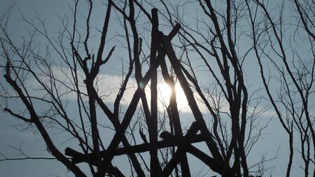 black wood and sunlight from skyの写真素材