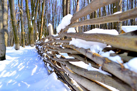 wicker fence branchesの写真素材