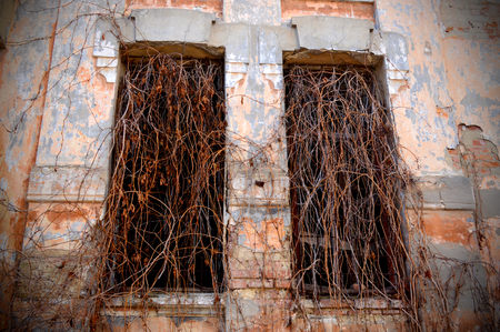 old abandoned mansion with overgrown windowsの写真素材