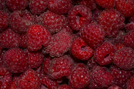 Beautiful raspberries closeup