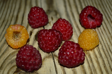 Beautiful raspberries closeup