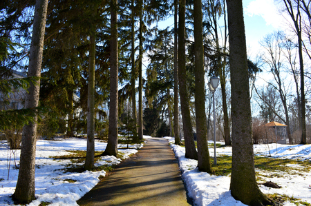 Road in a beautiful winter parkの写真素材