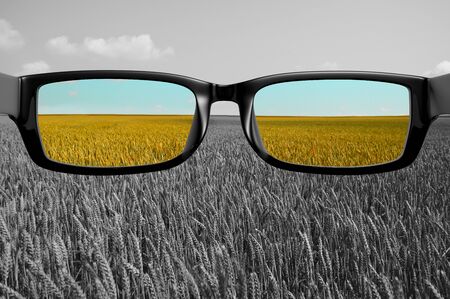 View through glasses field in colorの写真素材