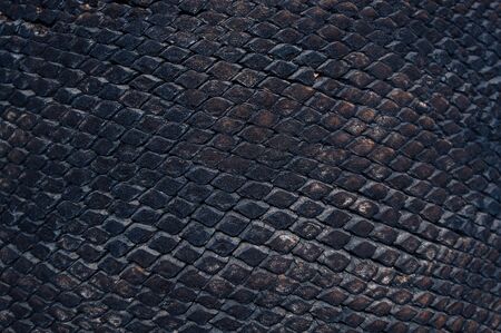 Palm tree bark texture closeの写真素材