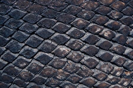 Palm tree bark texture close