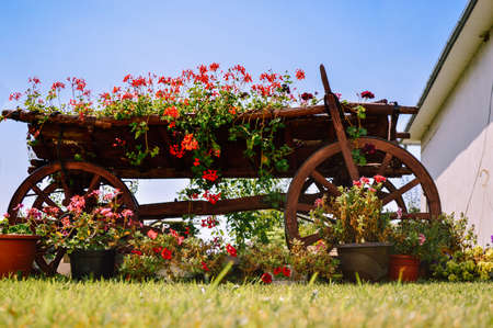 Cart with flowers on a background of blue sky close up