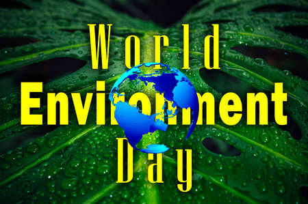 World Environment Day. Beautiful inscription on the background of a green leaf close up