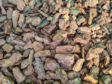 Background from decorative tree bark close upの写真素材