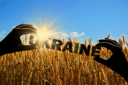 Hands holding the word UKRAINE against a blue sky with sunbeams close up.の写真素材