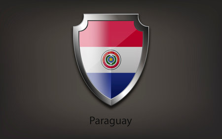 Metal shield with the flag of PARAGUAY. Vector illustration.のイラスト素材