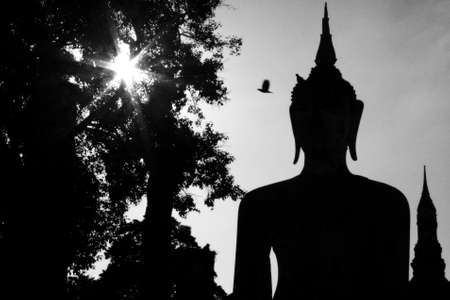 Sitting  Buddha from north of Thailandの写真素材
