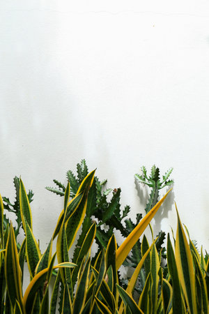 Green leaves background, green leaves texture background, green leaves background