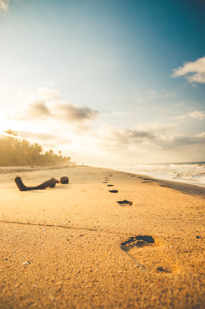 footprints in the sand at the beach by sunsetの写真素材