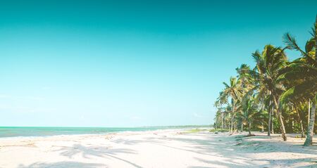 View on Caribbean tropical beach by Palomino in Colombiaの写真素材