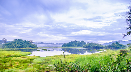 View on crocodile lake in Cat Tien National Park in Vietnamの写真素材