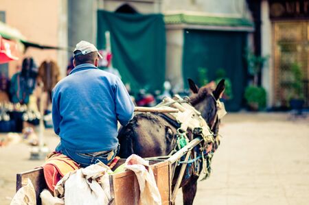 View on Donkey cart by Marrakech in Moroccoの写真素材