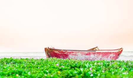 View on rowing boat at the beach by Palomino in Colombiaの写真素材