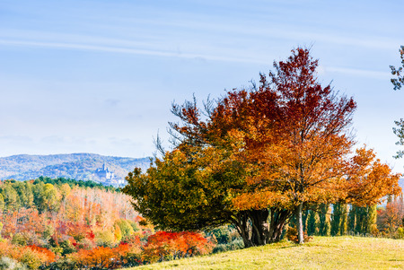 Beautiful autumn landscape next to Benzingerode in Wernigerodeの写真素材
