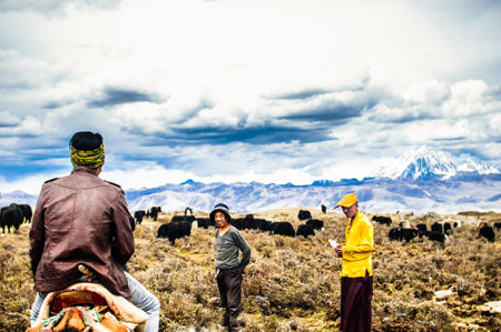 Tagong grassland, China on 12th May 2015 - Tibetan nomads and Yak cattlesのeditorial素材