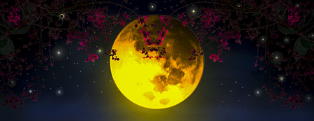 Panoramic Night sky is romantic, with a large orange moon and Red leaf, floating beautifully, looking like one of the fairy tale scenes.の写真素材