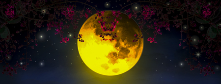 Panoramic Night sky is romantic, with a large orange moon and Red leaf, floating beautifully, looking like one of the fairy tale scenes.の写真素材