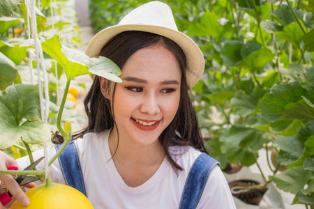 Young asian woman happy and smiling, smart farmers and entrepreneurs in garden, tablet checking quality, recording science analyzing data melon product in greenhouses, record growth and biological.の写真素材