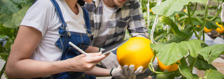 Young asian smart farmers and entrepreneurs in garden,happy and smiling,tablet checking quality,recording science analyzing data melon product in greenhouses,record growth and biological,baner headerの写真素材