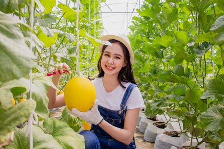 Young asian woman happy and smiling, smart farmers and entrepreneurs in garden, tablet checking quality, recording science analyzing data melon product in greenhouses, record growth and biological.の写真素材