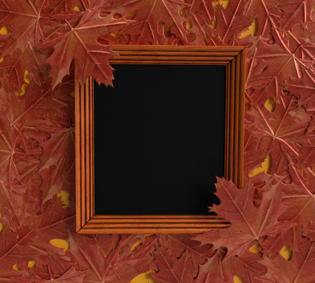 Autumn spring maple leaf frame red design retro season symbol decoration ornament happy halloween harvest forest background 31 thirty one october novemberの写真素材