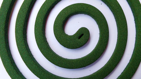Green mosquito coils are arranged in a fine spiral pattern on a white background.の写真素材